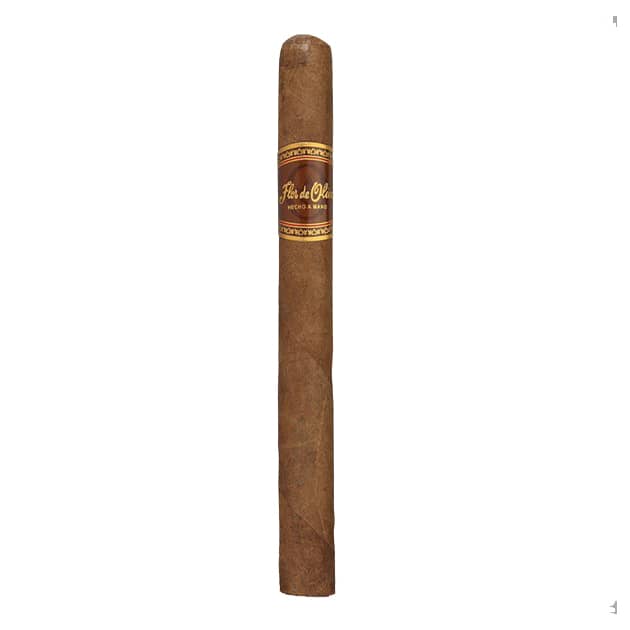 Oliva Flor De Oliva Churchill