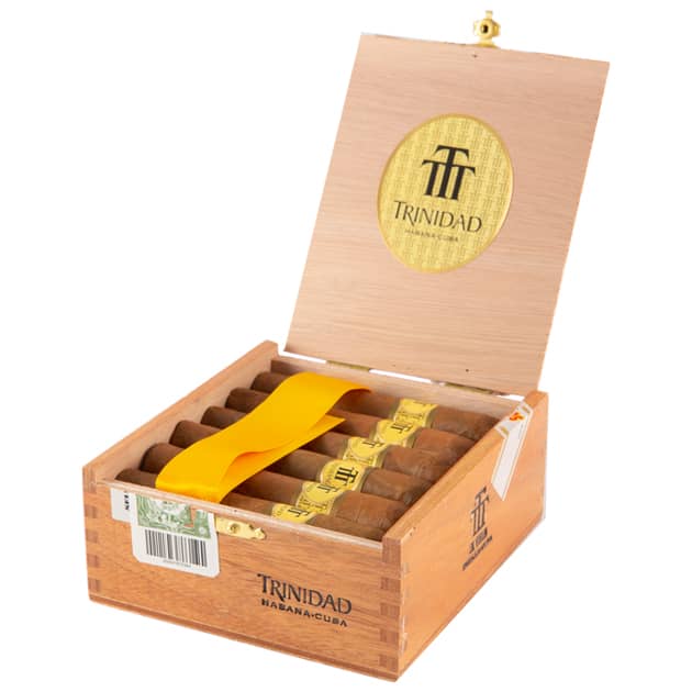 Trinidad Vigia